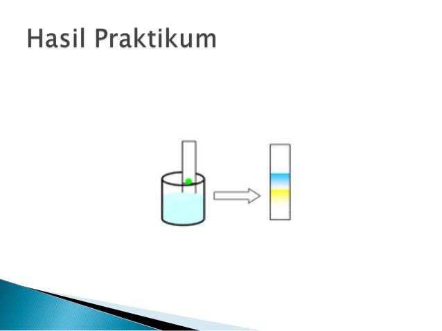contoh laporan praktikum eksperimen problem solving contoh laporan praktikum eksperimen problem solving